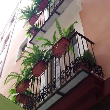 Apartamento En Plom *